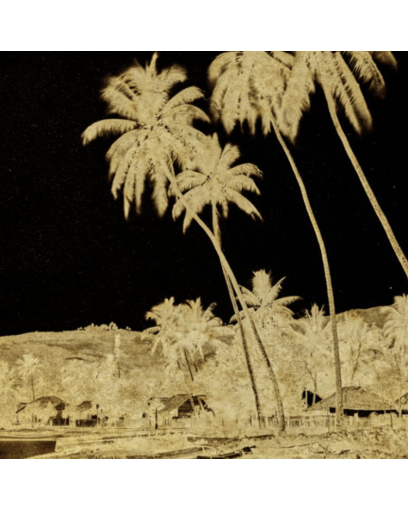 Tahiti, la même vague photographiée deux fois