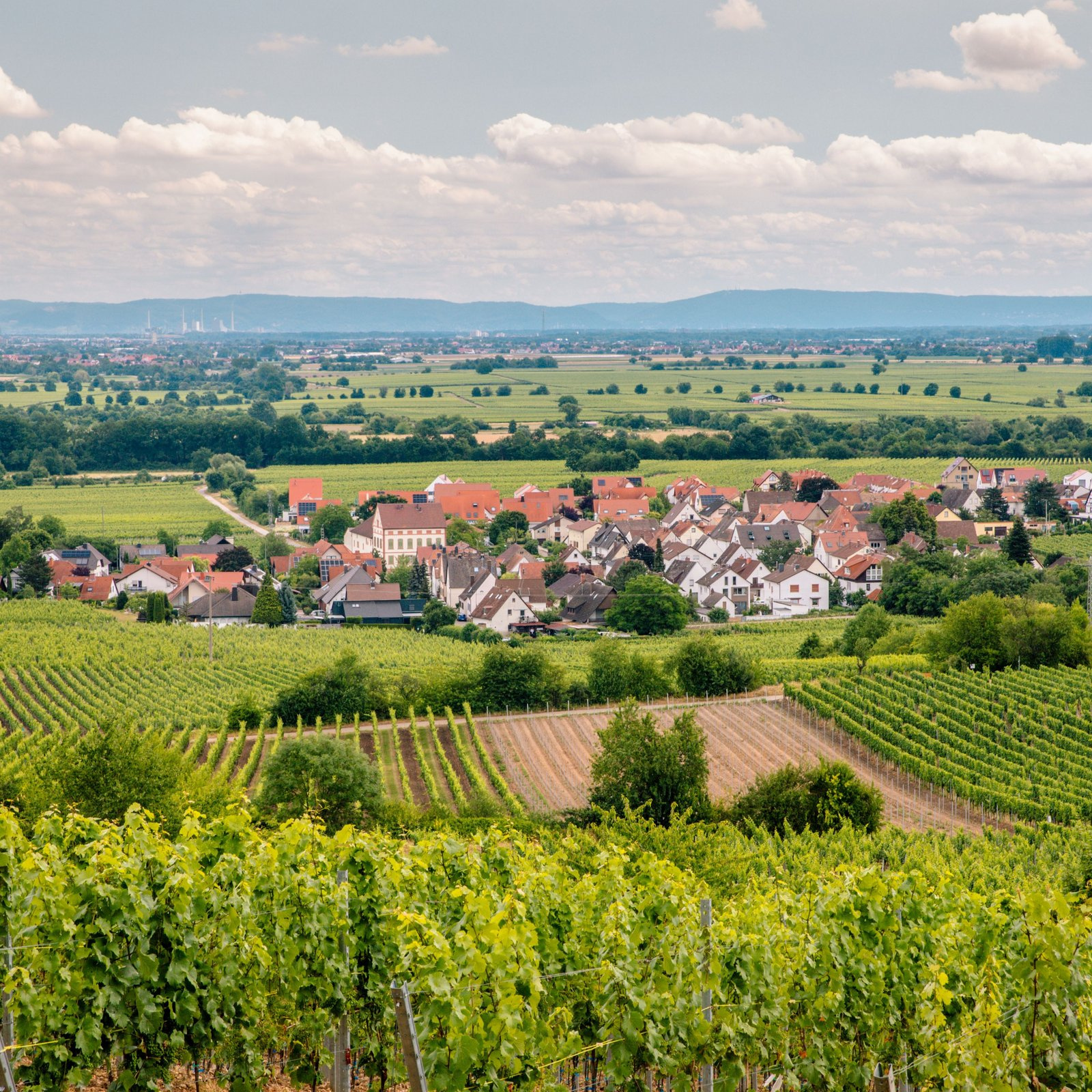 Deidesheim, la discrétion comme stratégie gastronomique